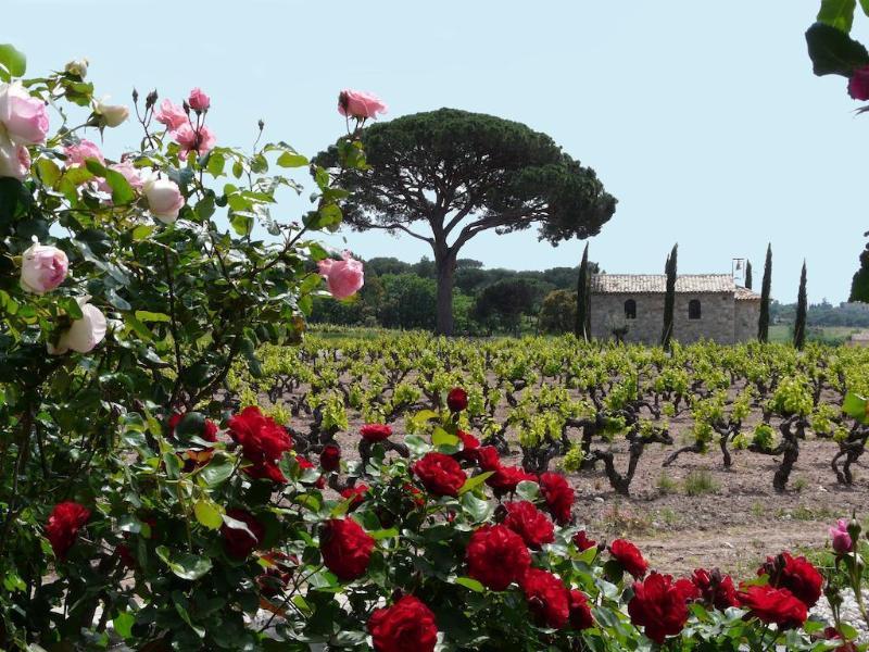 Fréjus La Bastide Du Clos Des Roses - Teritoria מראה חיצוני תמונה